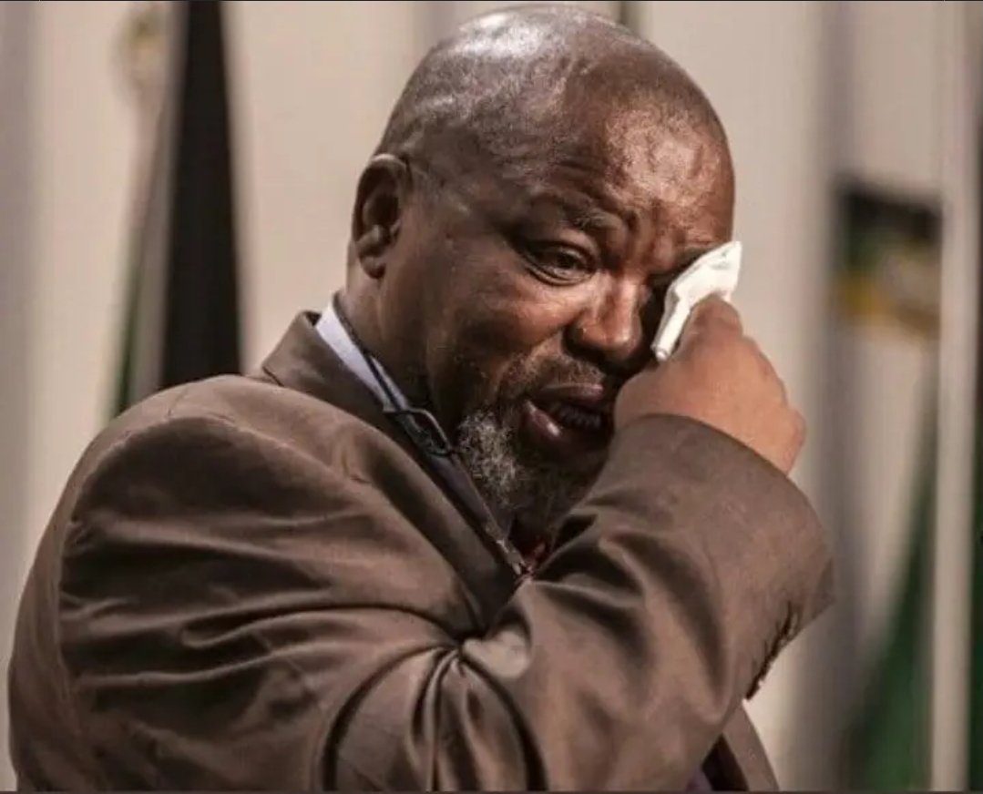 Mantashe Reacts to MK Party Gains in KwaZulu-Natal
