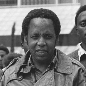 Isithombe se-Chris Hani