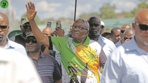 Mkhonto weSizwe Party Makes a Mark in Mpumalanga By-Election